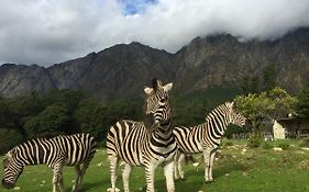 Franschhoek Country Cottages